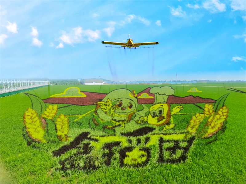 640 (2)_副本.jpg