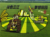 续