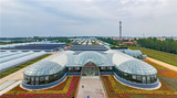 绿色有机蔬菜基地