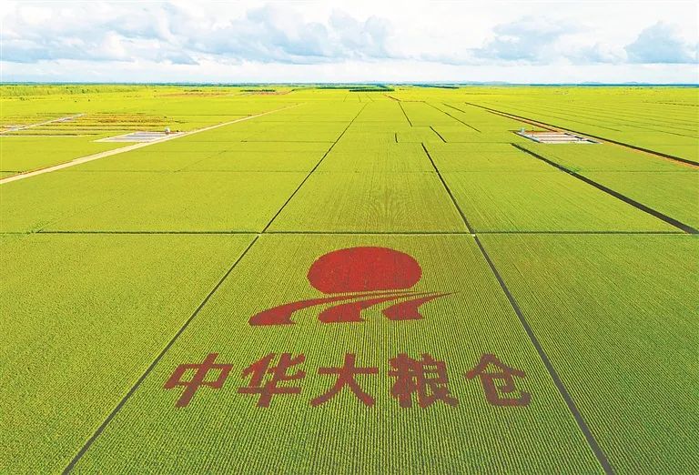 農(nóng)業(yè)