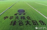 лɫ