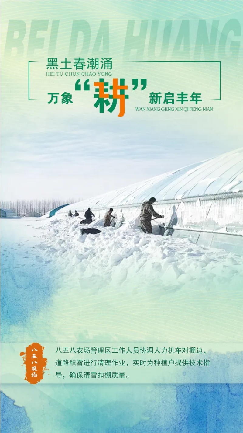 94.jpg