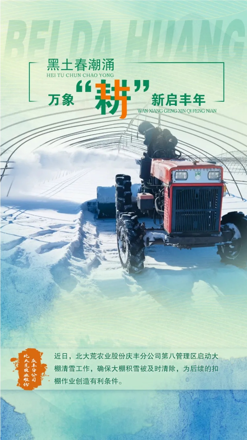 97.jpg