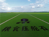 粮食压舱石