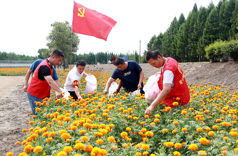 辦實(shí)事 開新局 八五七“流金”時(shí)刻黨旗紅【圖】 (1).jpg