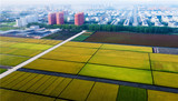 绿色米都建三江