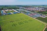 魅力农垦城