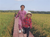 孩子们的快乐稻田
