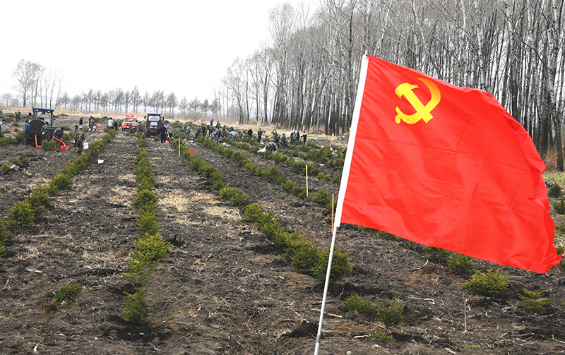 200人8000株樹苗105畝！寶泉嶺農(nóng)場義務(wù)植樹添新綠.JPG