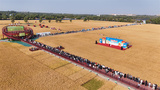 DJI_20250923092905_0368_D_JAY.jpg