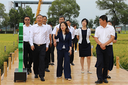 王宇鸿到闫家岗农场调研